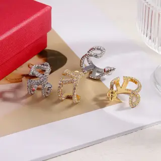 Valentino earrings