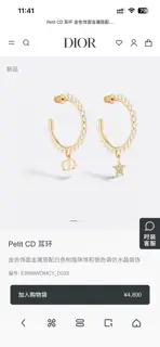 Dior new style Dior new letter earrings loved by top brands. The metal texture