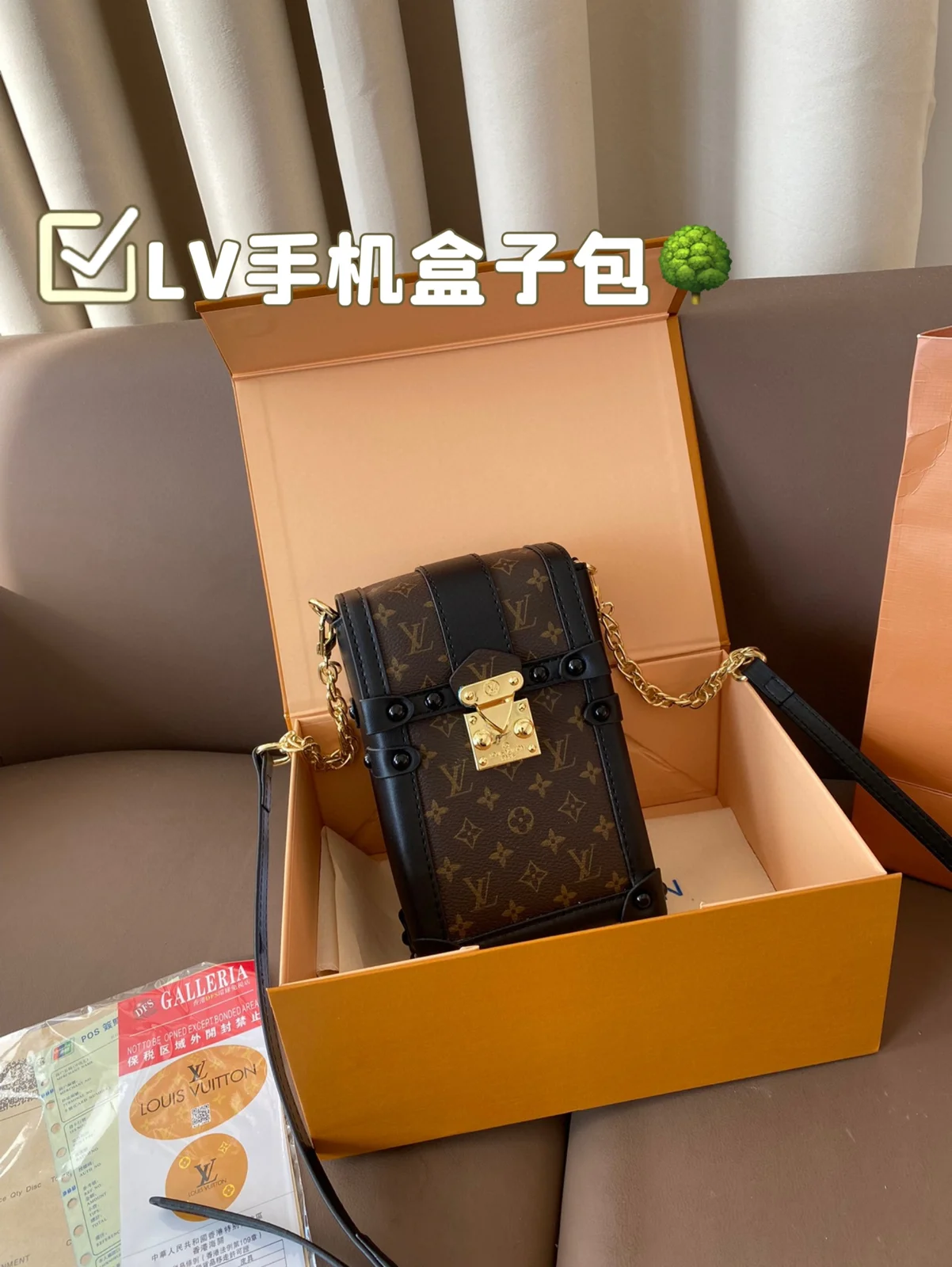 Louis Vuitton Bag