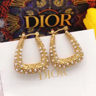 Dior ear hooks