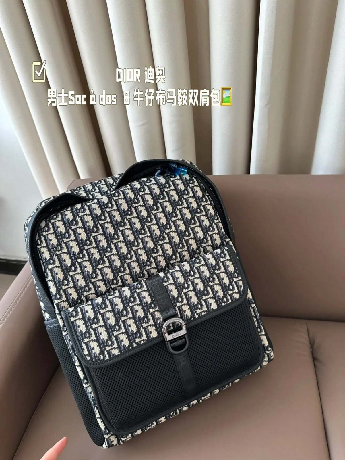 Dior Saddle