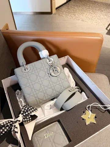 Dior Bag
