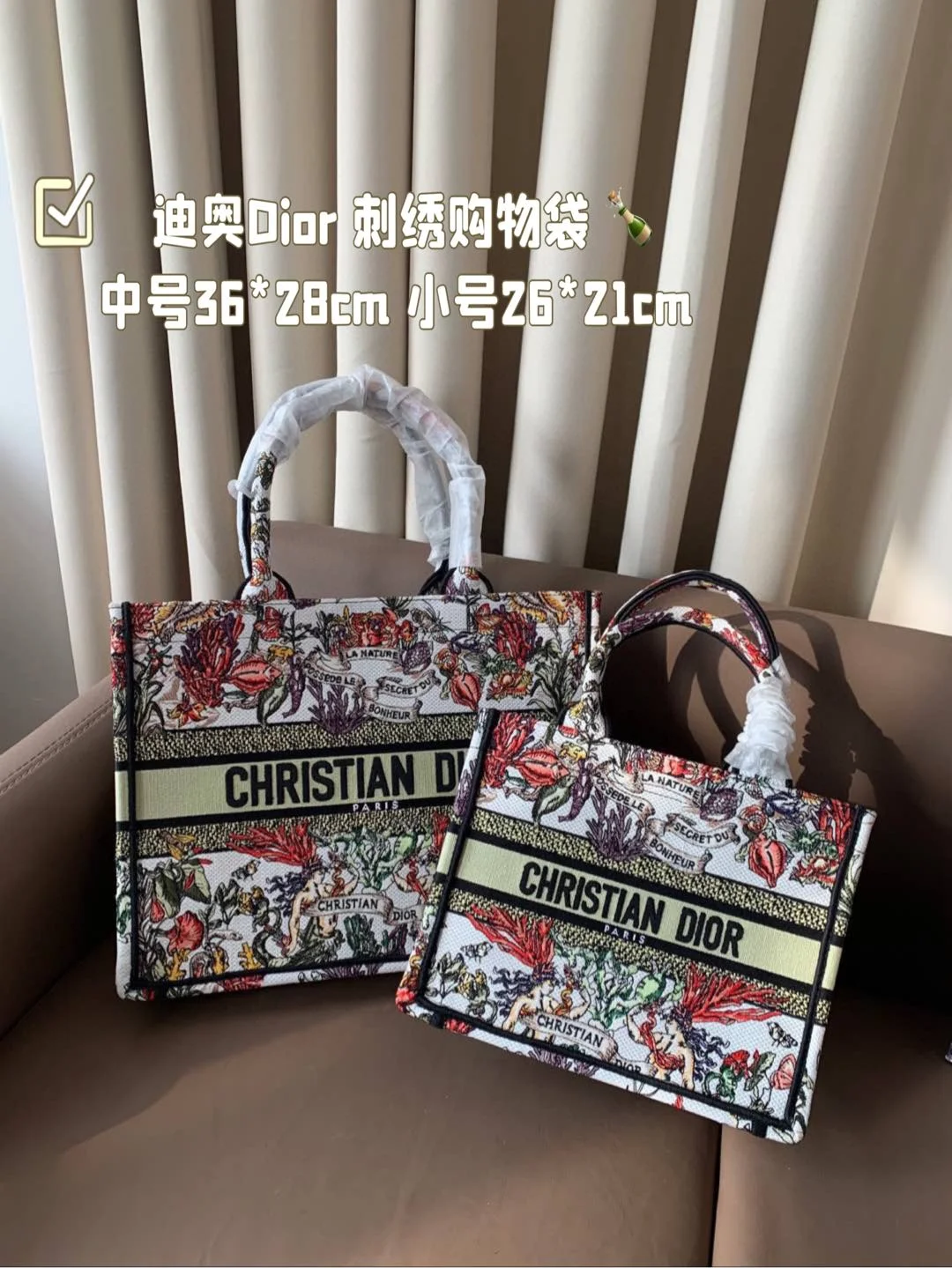 Dior Bag