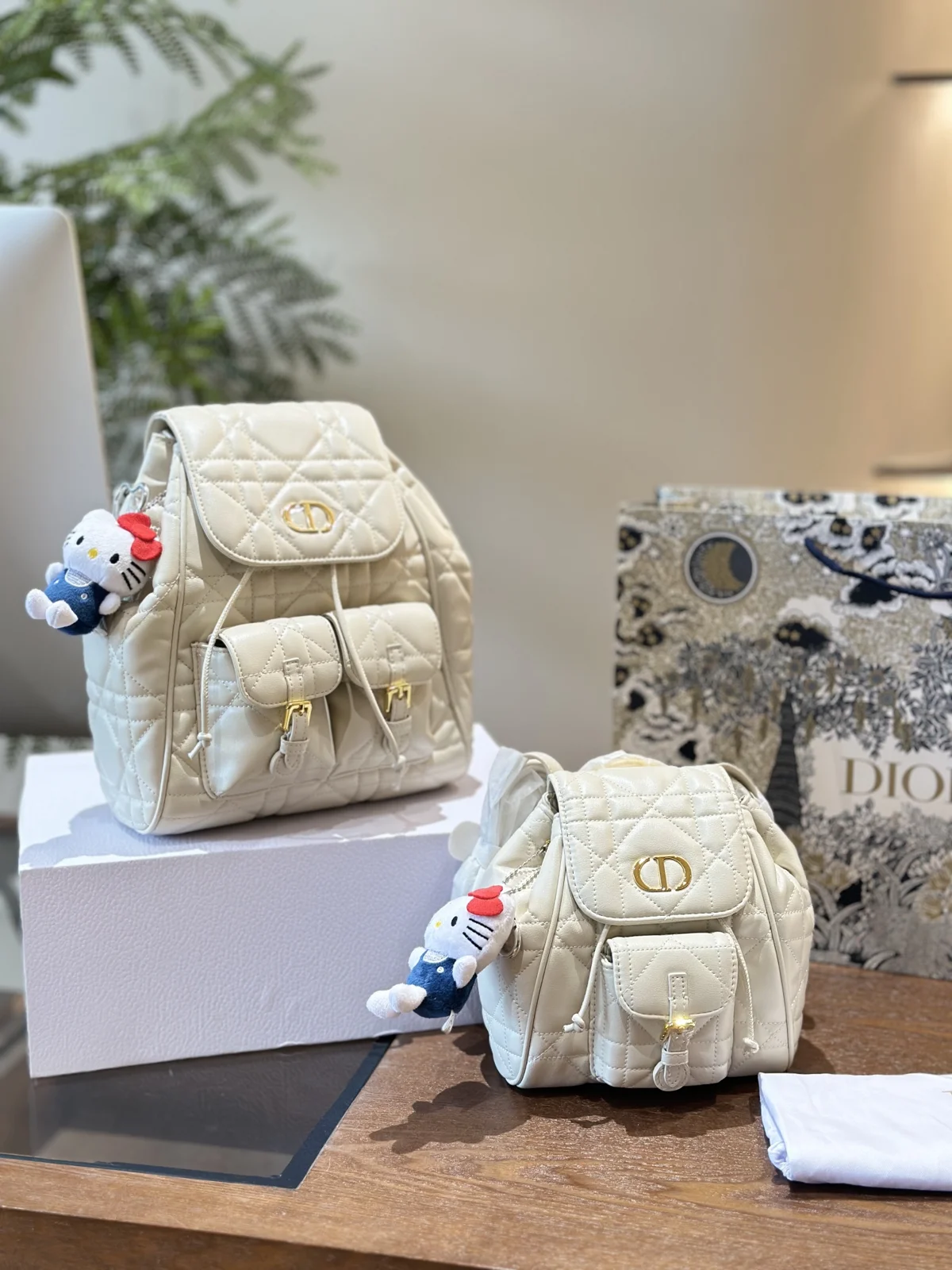 Dior Backpack