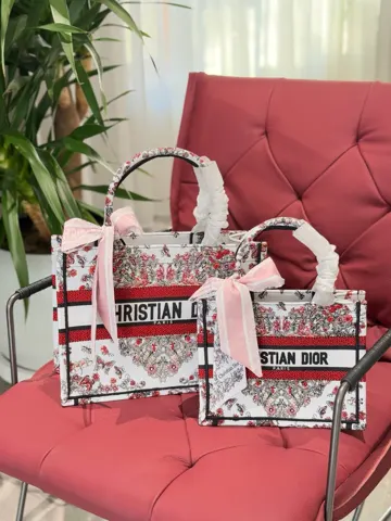 Dior Book Tote