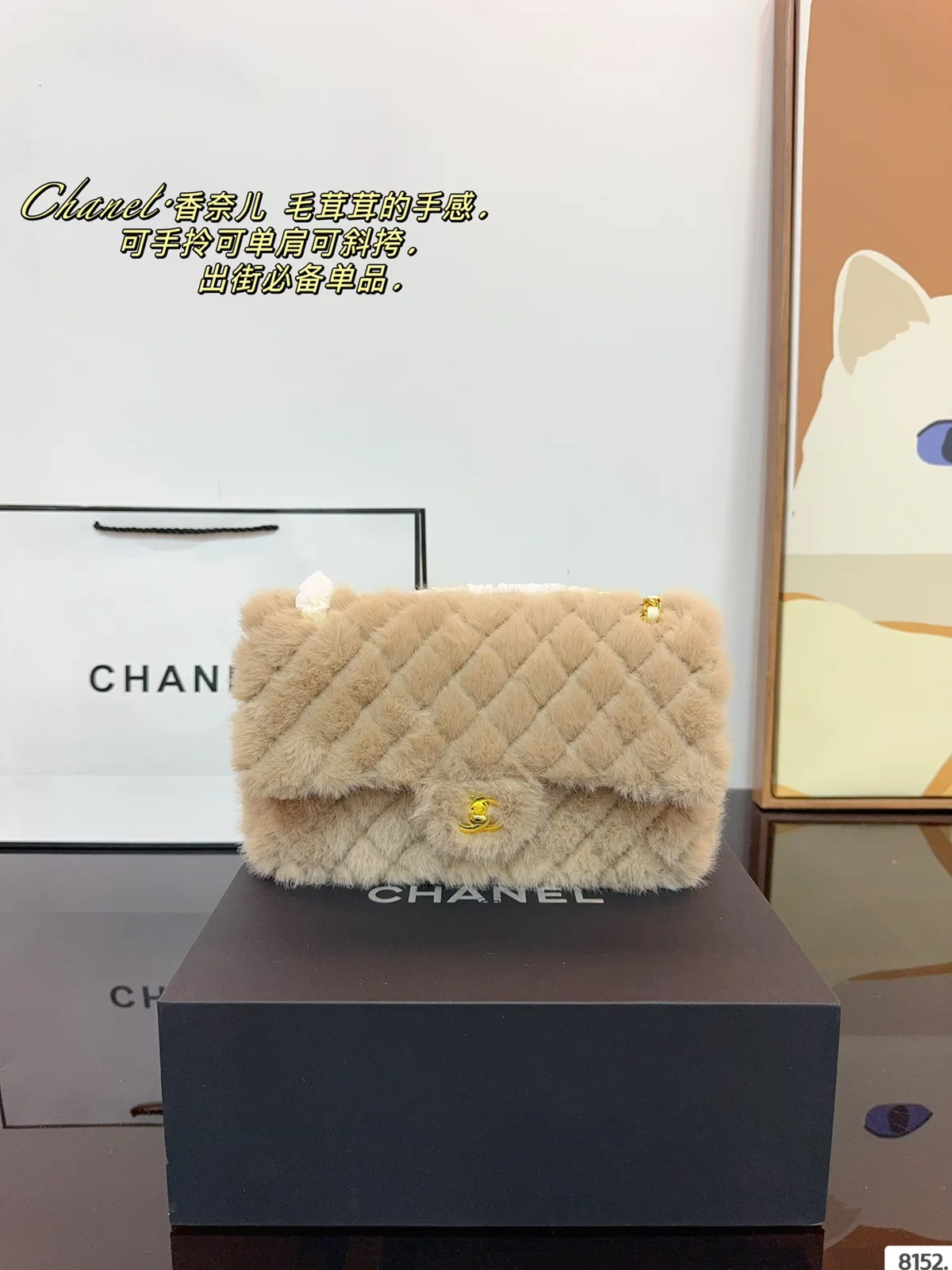 Chanel Bag