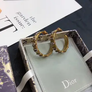 DIOR diamond earrings The same brass material as the counter