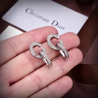 Dior new style Dior new letter earrings loved by top brands. The metal texture
