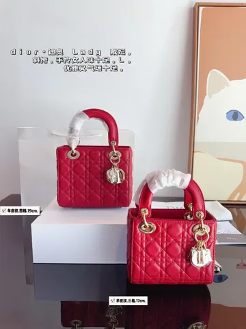 Dior Lady Dior