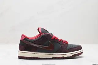 Nike DUNK LOW series low-top casual sports skateboard shoes FZ1289-200