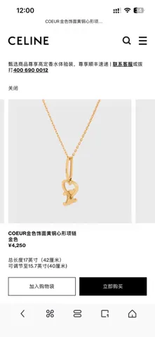 Celine Necklace Bracelet Earrings