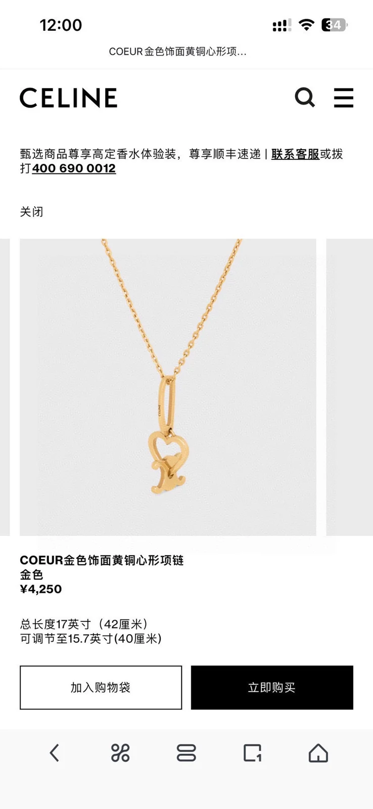 Celine Necklace Bracelet Earrings
