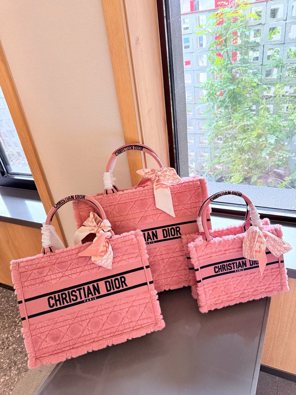 Dior Crossbody