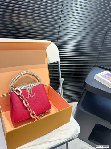Louis Vuitton Bag