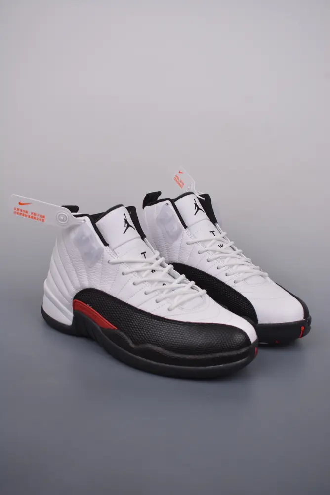 Nike men’s basketball shoes CT8013