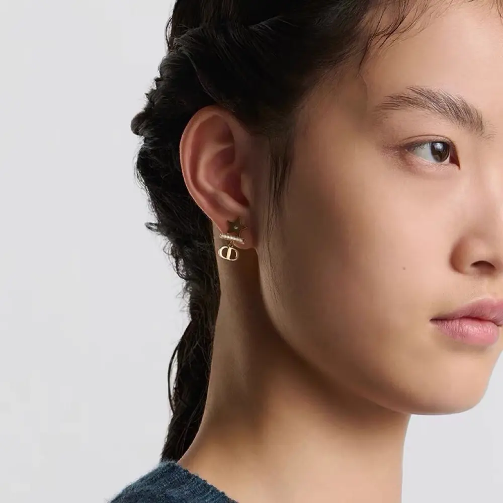 Dior new style earrings beautiful simple and elegant fashionable low-key and luxurious