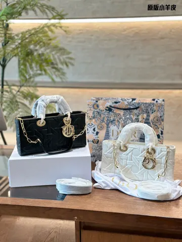 Dior Bag