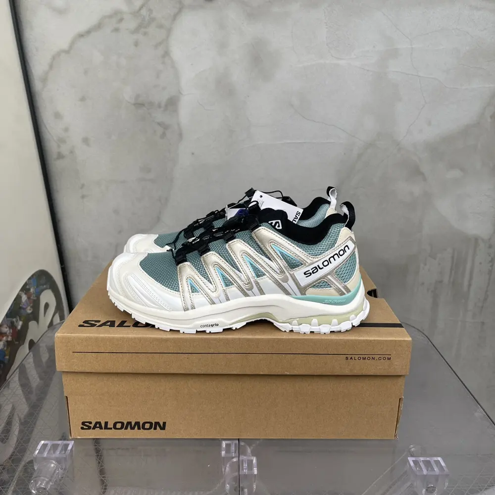 Salomon sports shoes