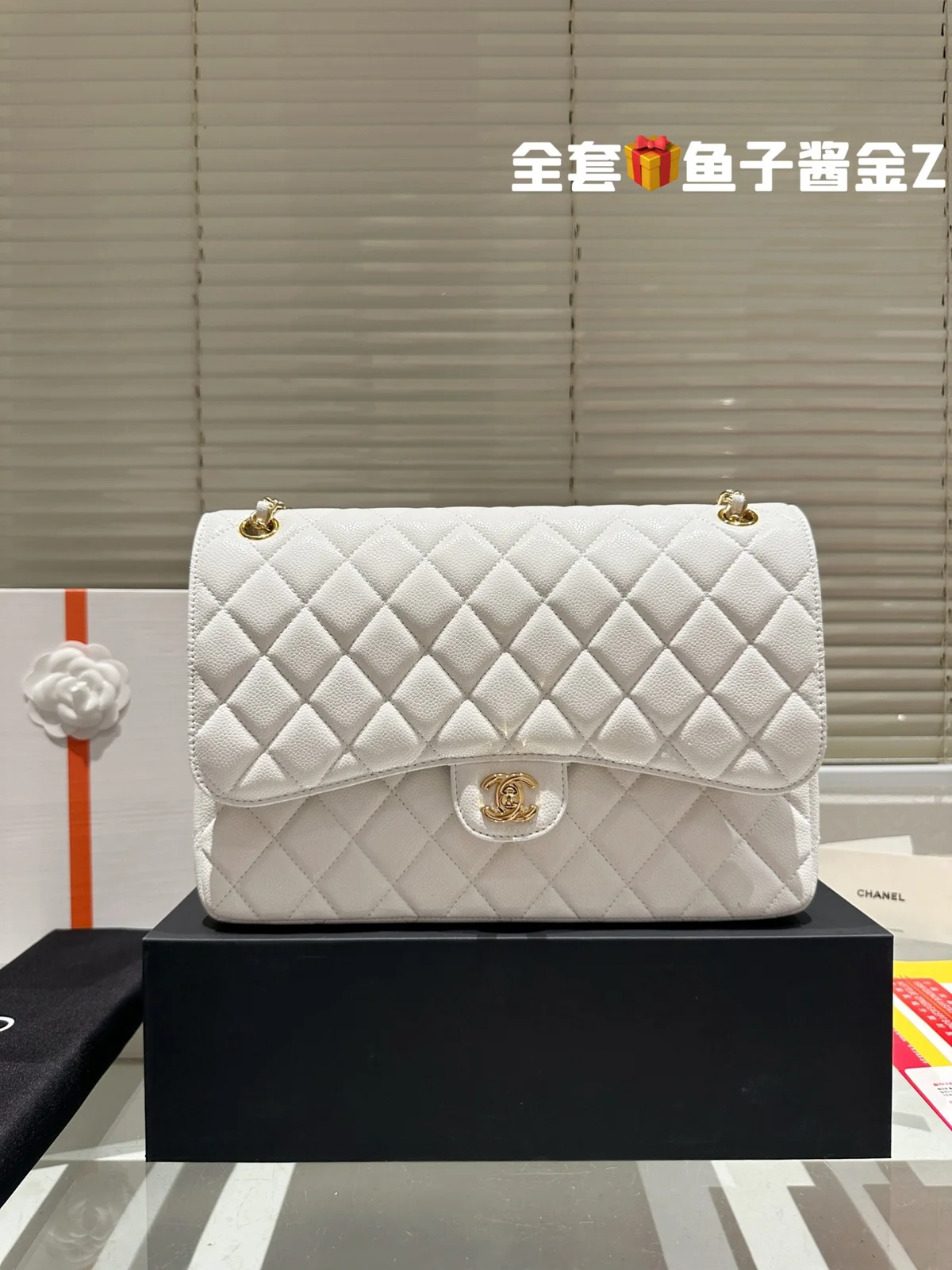 Chanel Bag