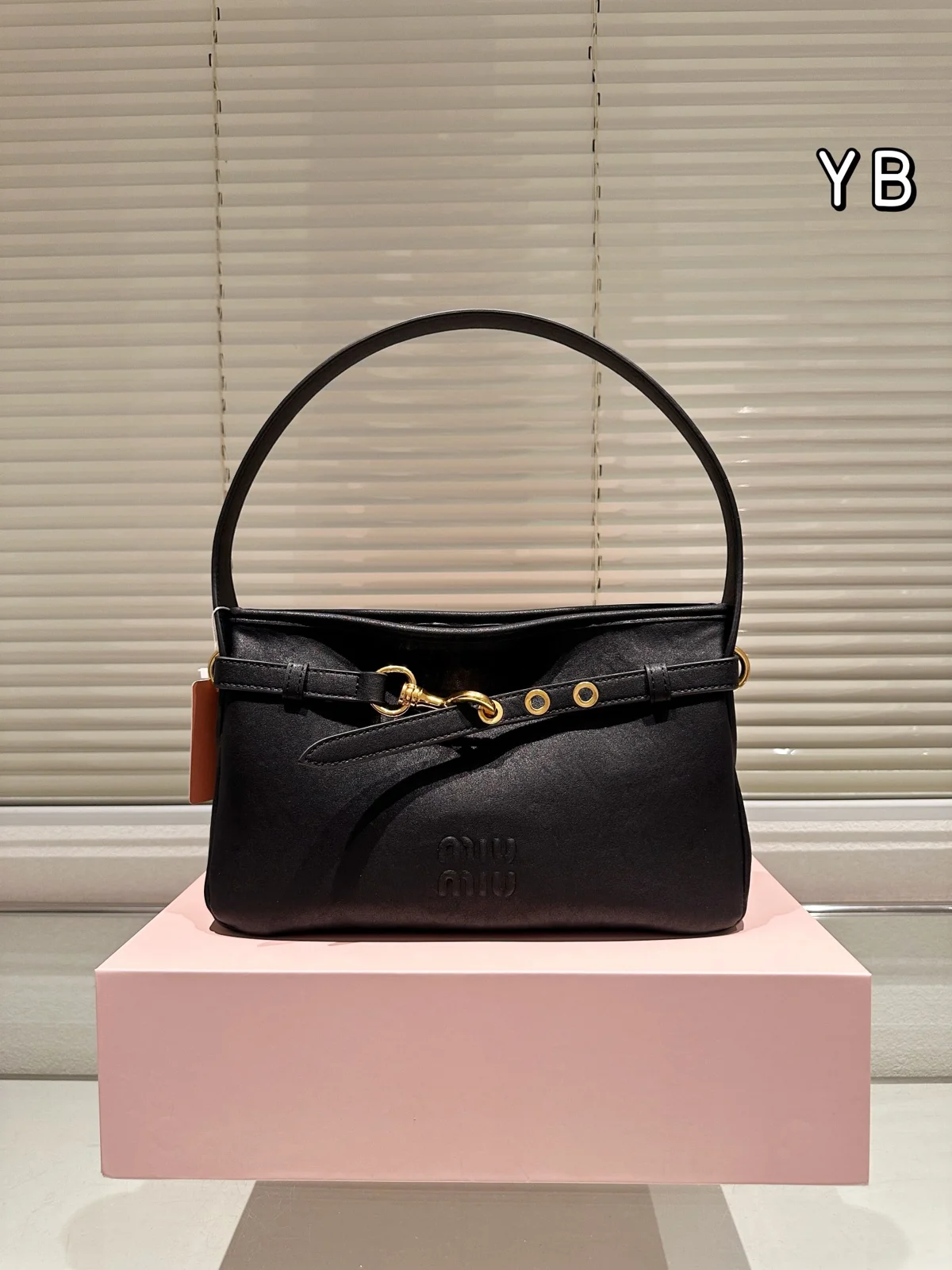 MiuMiu Bag