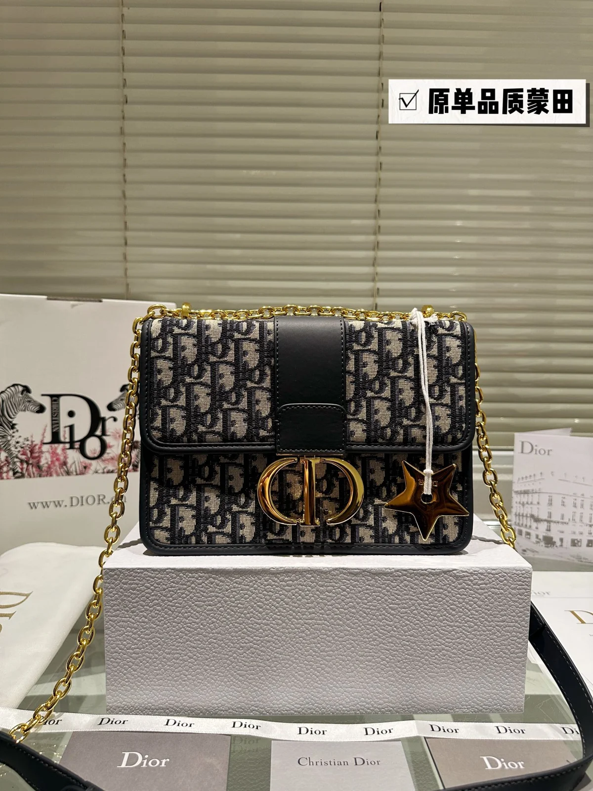 Dior Bag