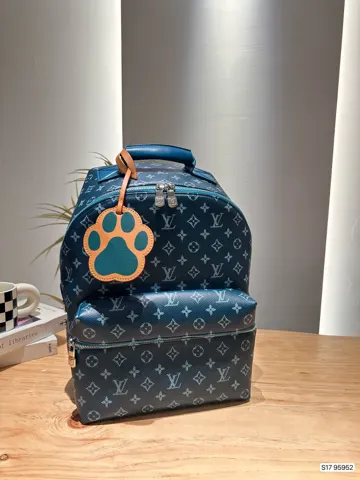 Louis Vuitton Backpack