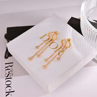 Dior new style Dior