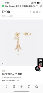 New DIOR earrings