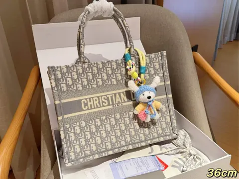 Dior Book Tote