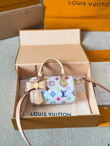 Louis Vuitton Bag