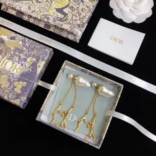 DIOR earrings The same brass material as the counter