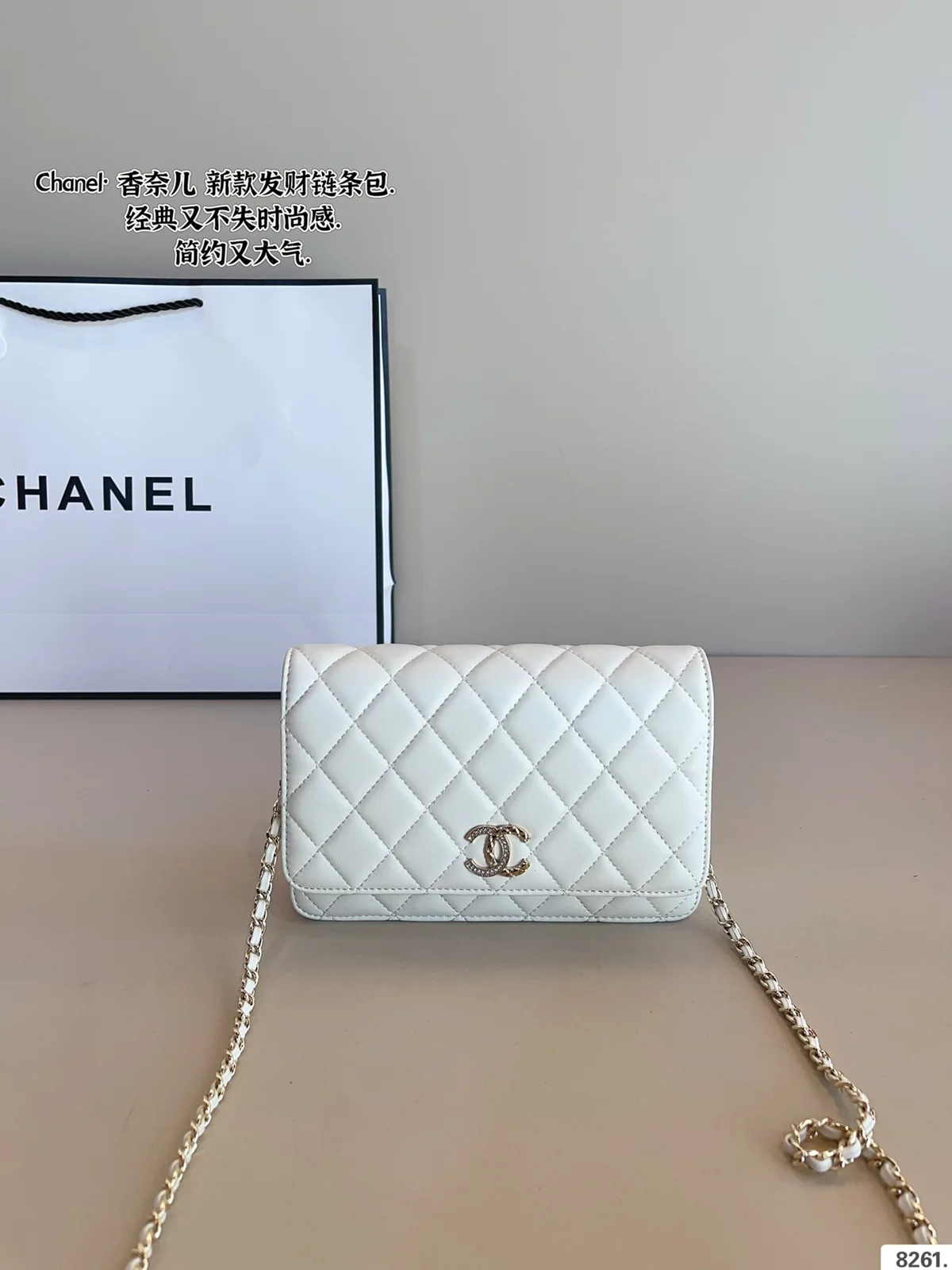 Chanel Bag
