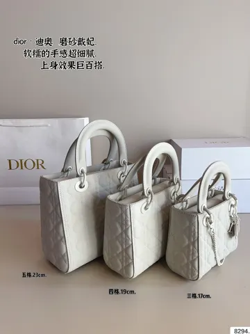Dior Bag