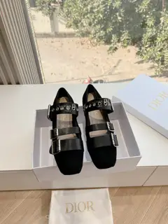 Dior 2025 early spring new loafers