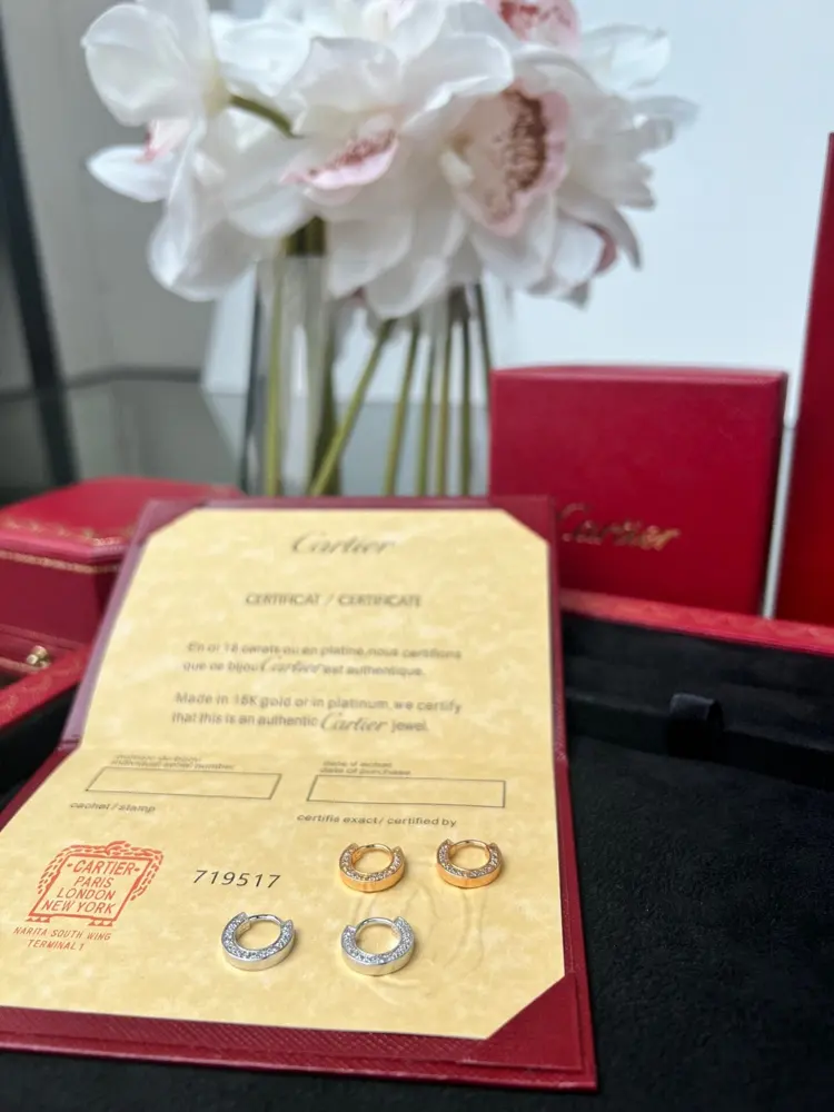 The Cartier LOVE earring series was born in New York in the 1970s