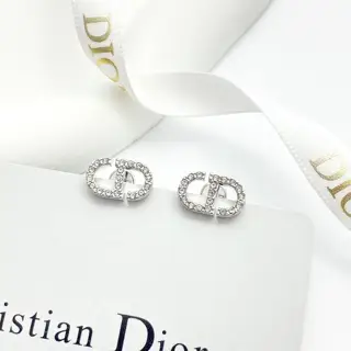 DIOR earrings are hot-selling and are now available