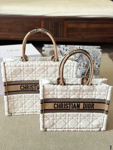 Dior Book Tote
