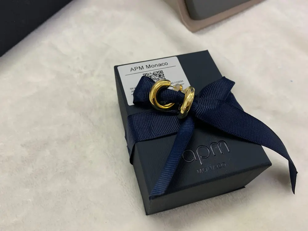 Apm monaco Small and unique hoop earrings for women