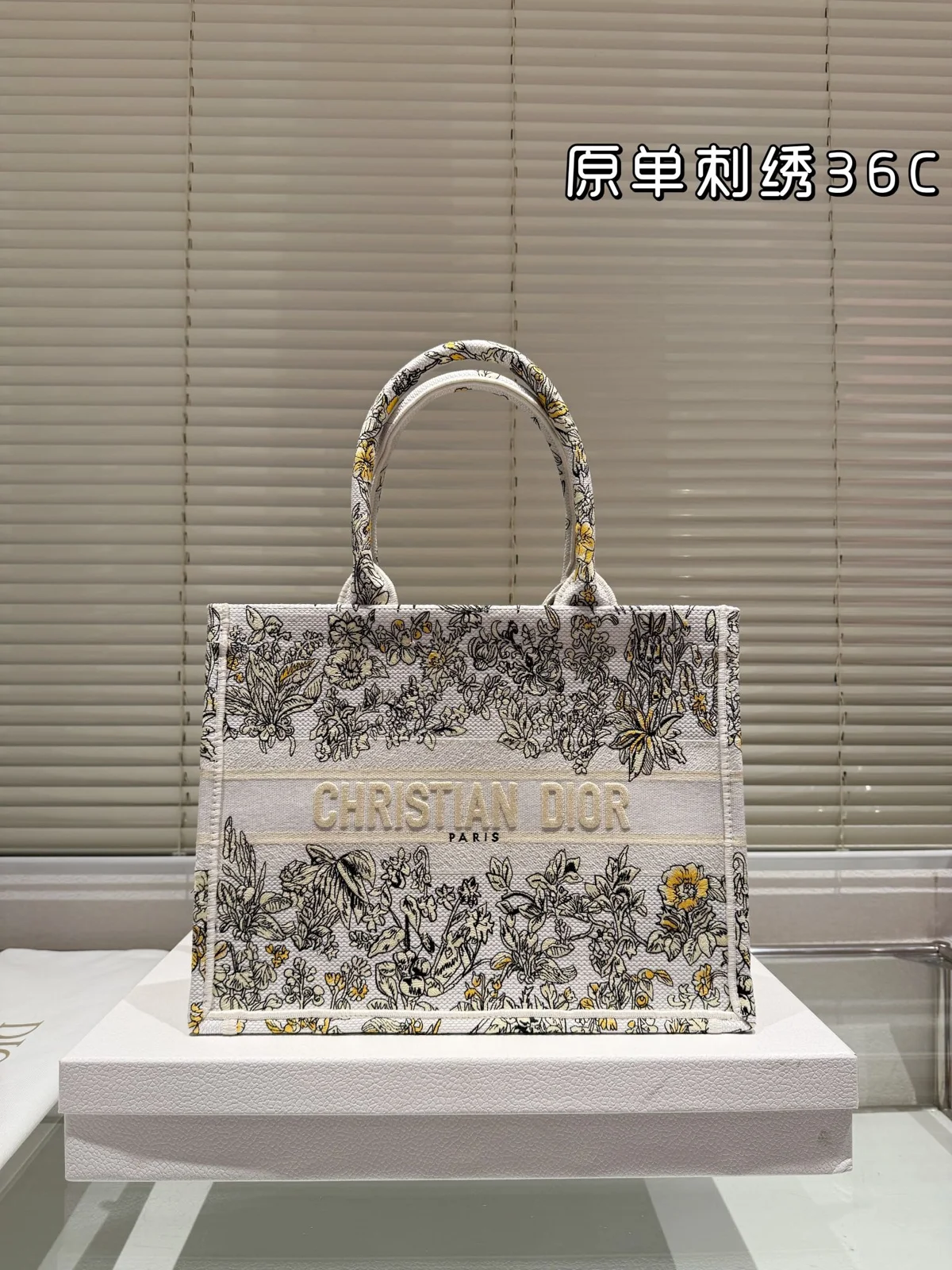Dior Book Tote