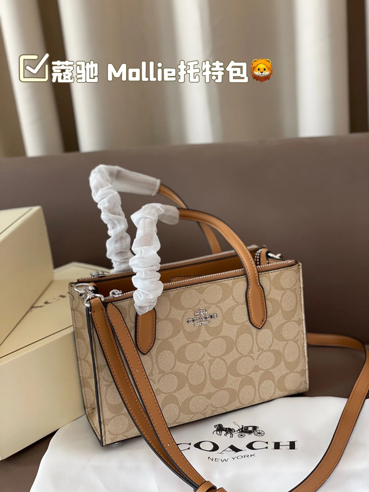 COACH Tote