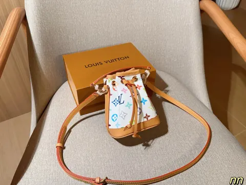 Louis Vuitton Bag