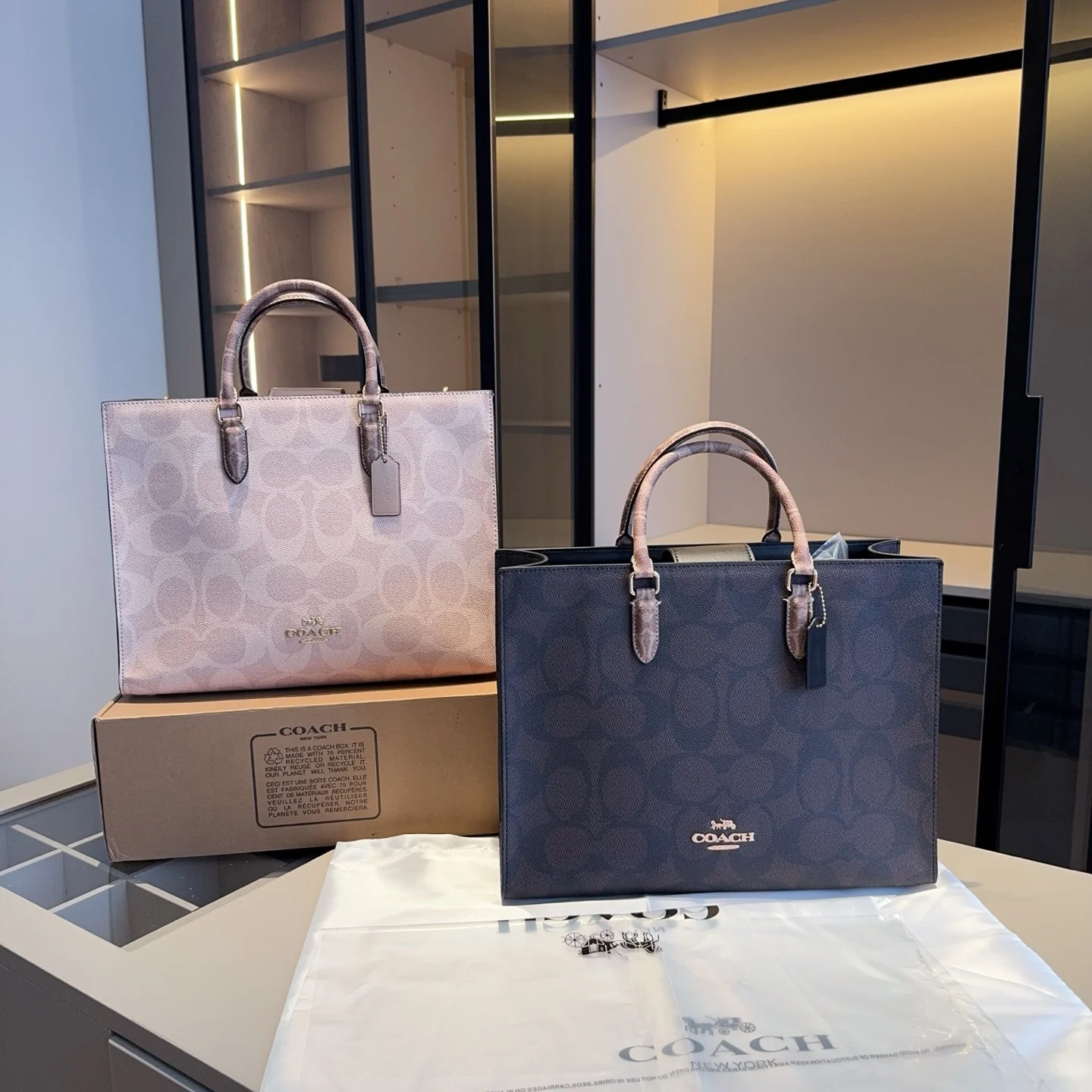COACH Tote