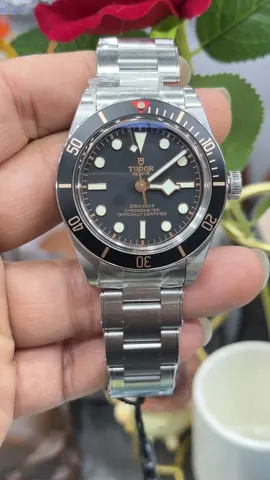 Tudor Watch