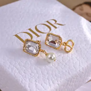 Dior new style Dior new letter earrings loved by all the top brands. The metal texture