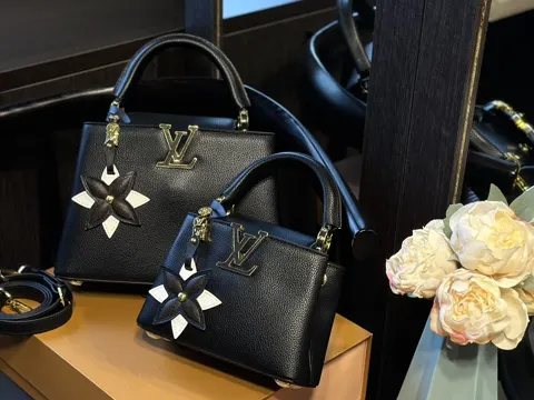 Louis Vuitton Capucines