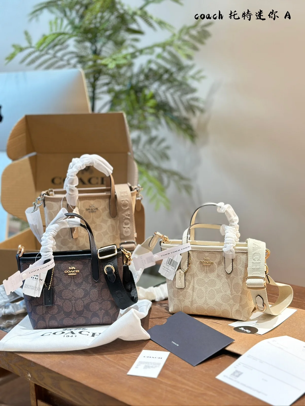 COACH Tote