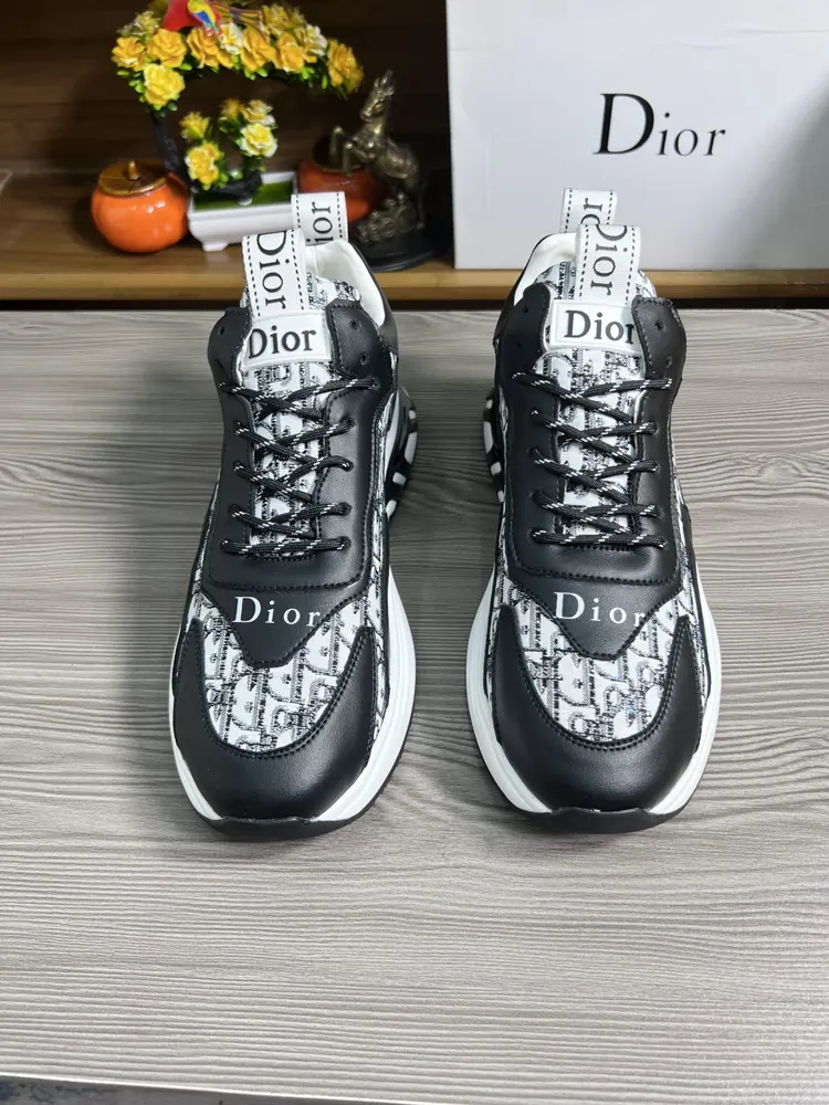 Dior sneakers