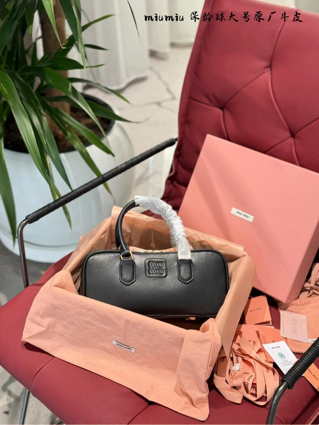 MiuMiu Bag