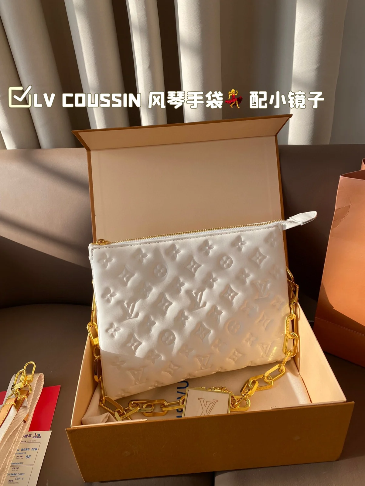 Louis Vuitton Coussin