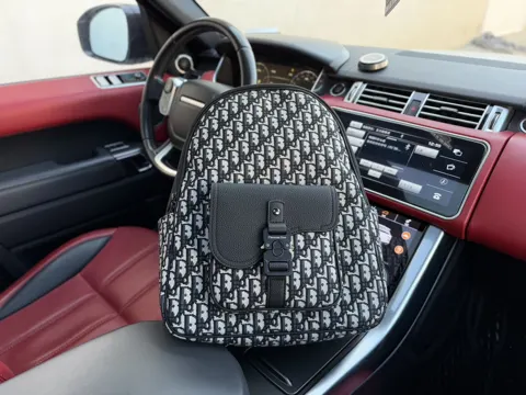 Dior Saddle